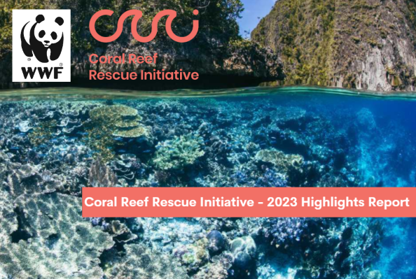 NEW: 2023 Highlights Report CRRI