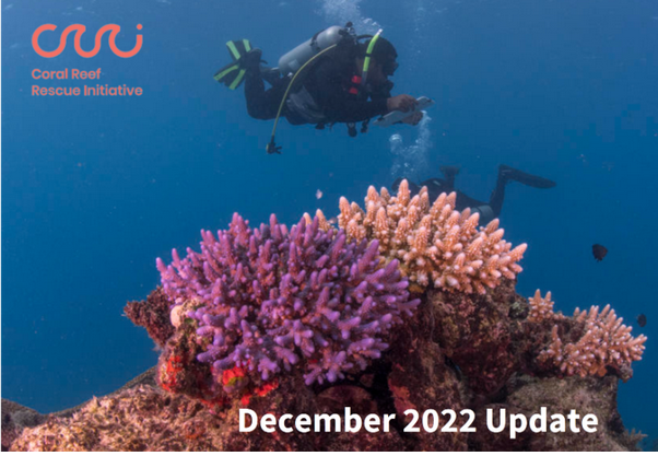 CRRI Newsletter - December 2022