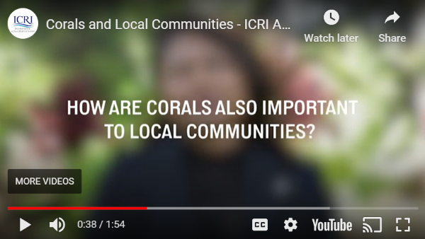 'Ask The Expert' series launched by International Coral Reef Initiative (ICRI)