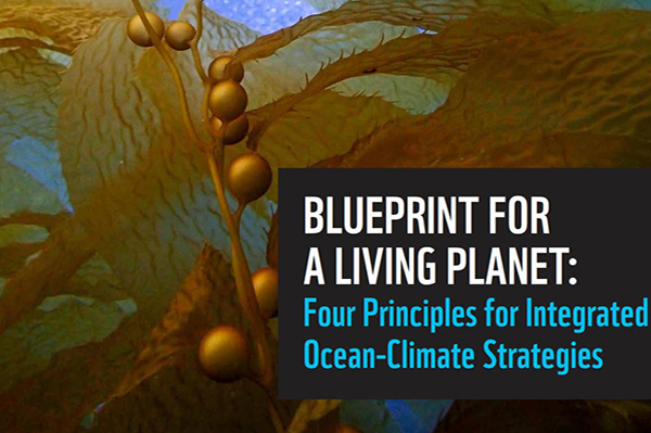 Blueprint for a Living Planet: Four Principles for Integrated Ocean-Climate Strategies