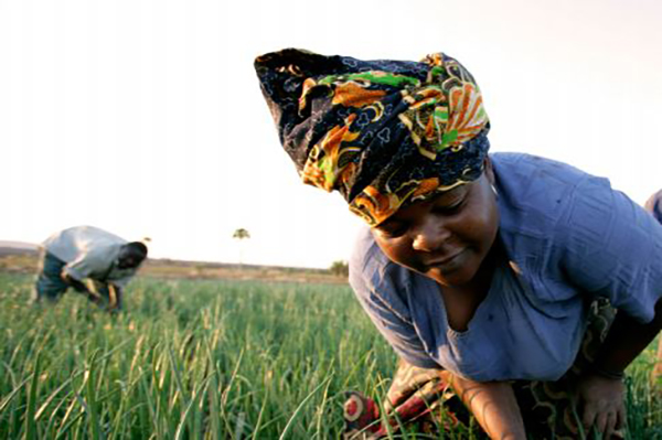 Learning and sharing to improve integrated conservation and development programs