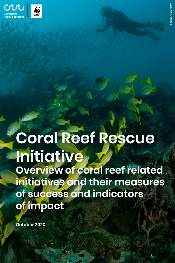 Overview of coral reef related initiatives and their measures of success and indicators of impact