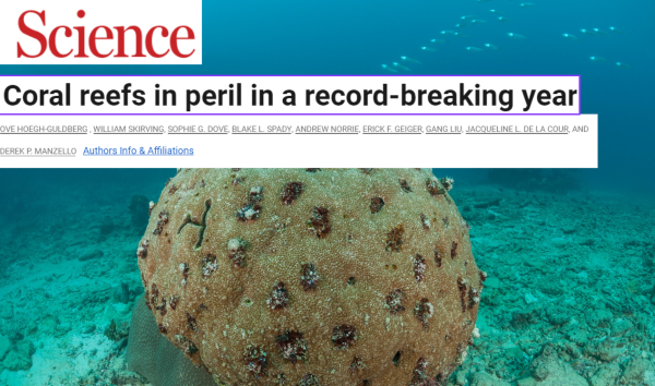 Coral reefs in peril in a record-breaking year