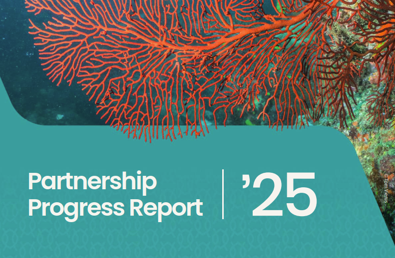 CRRI Partnership Progress Report 2025