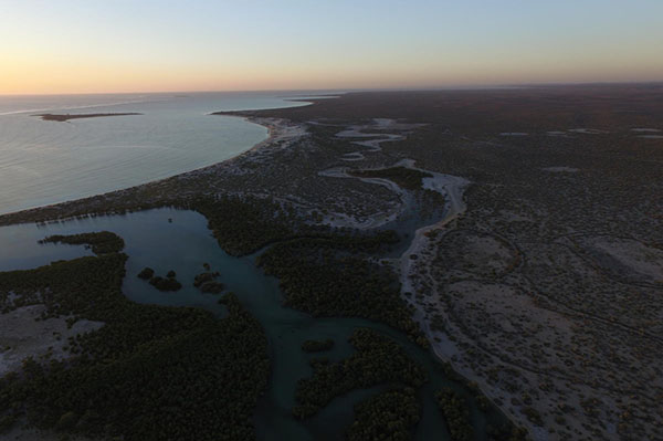 Global forest restoration opportunities to foster coral reef conservation